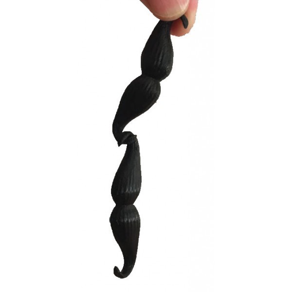 SACAMOUSTACHES